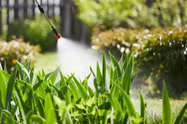 24/7 Emergency Mosquito Control experts in Bryant, AR